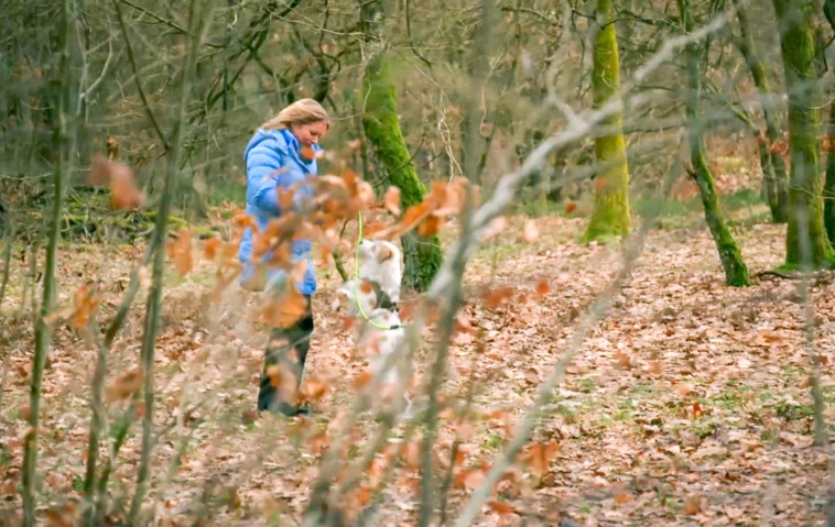 „Rote Rosen“: Drama um Jördis! Sie verunglückt im Wald